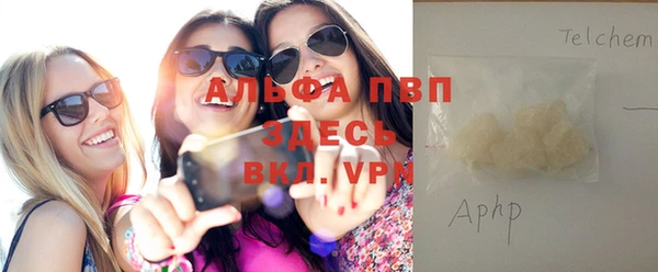 стафф Алексин