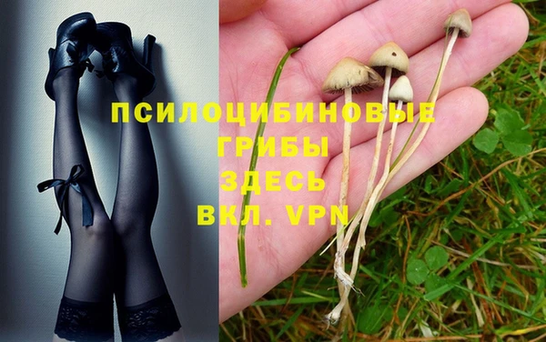 стафф Алексин