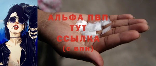 стафф Алексин