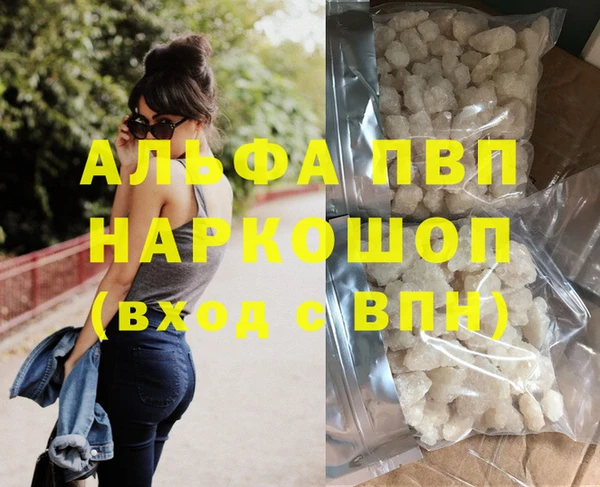 стафф Алексин